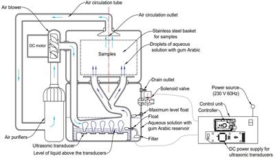 Development, RSM-based modeling, and process optimization of an ultrasonic coating system for extending the storage life of fresh fruits